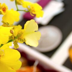Отель X2Brussels Bed and Breakfast Бельгия, Брюссель - отзывы, цены и фото номеров - забронировать отель X2Brussels Bed and Breakfast онлайн питание