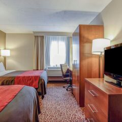 Comfort Inn in Bangor, United States of America from 192$, photos, reviews - zenhotels.com room amenities