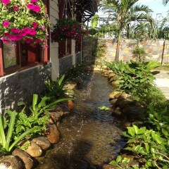 Отель Green Field Villas Хойан фото 9