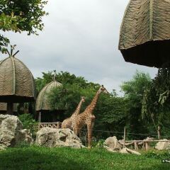 Отель ZEN Rooms Vibhavadee-Rangsit