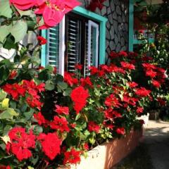 Отель New Pokhara Lodge Непал, Покхара - отзывы, цены и фото номеров - забронировать отель New Pokhara Lodge онлайн