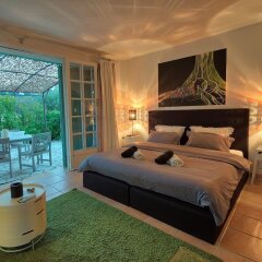 Villa Justine in Mandelieu-La-Napoule, France from 286$, photos, reviews - zenhotels.com guestroom