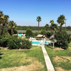 Отель 99 Palms Inn & Suites бассейн фото 2