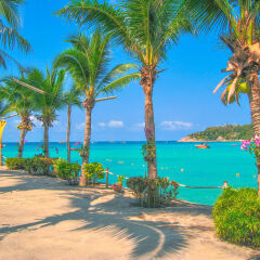Отель Ko Tao Resort - Beach Zone пляж