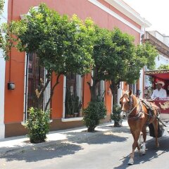 Отель Home and Hostel Мексика, Гвадалахара - отзывы, цены и фото номеров - забронировать отель Home and Hostel онлайн городской автобус