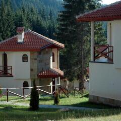 Отель Villas & SPA at Pamporovo Village с домашними животными