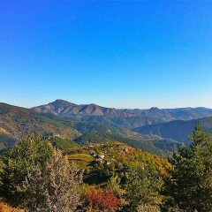 Отель Melanya Mountain Retreat Болгария, Ардино - отзывы, цены и фото номеров - забронировать отель Melanya Mountain Retreat онлайн фото 17