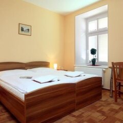 Отель Pension Wallis Пльзень комната для гостей фото 5