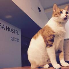 Отель Insadong Hostel Южная Корея, Сеул - 1 отзыв об отеле, цены и фото номеров - забронировать отель Insadong Hostel онлайн с домашними животными