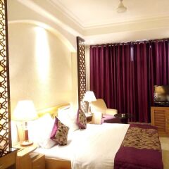 Отель Emperor Palms @ Karol Bagh Индия, Нью-Дели - отзывы, цены и фото номеров - забронировать отель Emperor Palms @ Karol Bagh онлайн комната для гостей фото 2