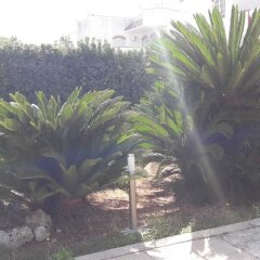 Отель Villa Del Mar Бари фото 3