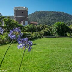 Отель Penha Longa Resort фото 2