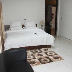 Park View Hotel in Accra, Ghana from 66$, photos, reviews - zenhotels.com guestroom