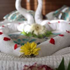 Side West Park Hotel Турция, Сиде - отзывы, цены и фото номеров - забронировать отель Side West Park Hotel - All Inclusive онлайн с домашними животными