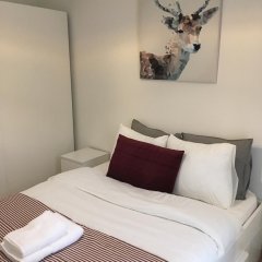 Spacious Modern Flat, 100 m2 in The Heart of City Center in Luxembourg, Luxembourg from 352$, photos, reviews - zenhotels.com guestroom photo 2