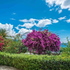 Отель Douka Seafront Residences