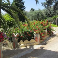 Отель Chambre d'hôtes Serenita di Giacometti Франция, Ницца - отзывы, цены и фото номеров - забронировать отель Chambre d'hôtes Serenita di Giacometti онлайн фото 11