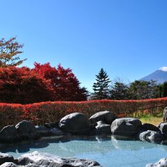 Hotel Mt. Fuji Яманакако с домашними животными
