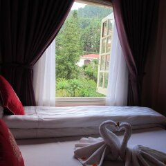 Sapa Backpacker Hostel комната для гостей