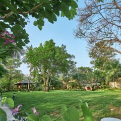 Отель Bandara Resort & Spa Таиланд, Самуи - 2 отзыва об отеле, цены и фото номеров - забронировать отель Bandara Resort & Spa онлайн фото 2