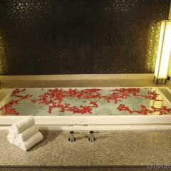Отель Radisson Blu Plaza Delhi Airport ванная