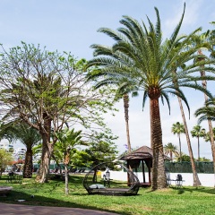 Отель Axelbeach Maspalomas Плайя дель Инглес фото 5