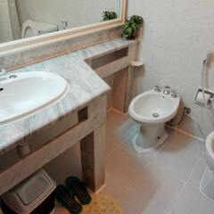 Отель Al Buhaira Hotel Apartments ОАЭ, Шарджа - отзывы, цены и фото номеров - забронировать отель Al Buhaira Hotel Apartments онлайн ванная