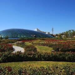 Отель Raffles Dubai фото 6