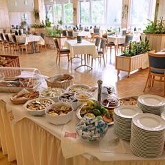 Отель Wald - & Sporthotel Festenburg