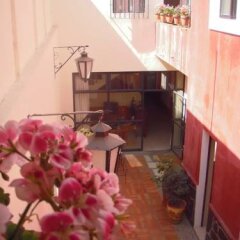Отель Olga Querida B&B Hostal Мексика, Гвадалахара - отзывы, цены и фото номеров - забронировать отель Olga Querida B&B Hostal онлайн фото 12
