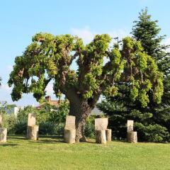 Отель Agriturismo Il Parco Di Kipo Монтефано