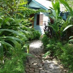 Отель Colo-I-Suva Rainforest Eco Resort Вити-Леву