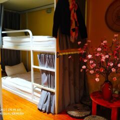 Отель Harmony Homestay Vintage of Old Quarter Ханой детские мероприятия фото 2
