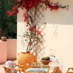 Отель Villa Phoenix Apartments & Studios Греция, Закинф - отзывы, цены и фото номеров - забронировать отель Villa Phoenix Apartments & Studios онлайн интерьер отеля