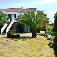 Отель Casa do Pico Португалия, Мадалена - отзывы, цены и фото номеров - забронировать отель Casa do Pico онлайн фото 8
