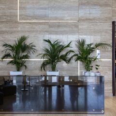 Отель Higuests Vacation Homes - Marina Arcade интерьер отеля фото 3