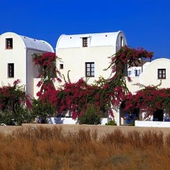 Отель Anna Traditional Apartments Греция, Остров Санторини - отзывы, цены и фото номеров - забронировать отель Anna Traditional Apartments онлайн фото 11