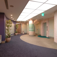 Отель Villa Fontaine Tokyo-Nihombashi Mitsukoshimae Япония, Токио - 1 отзыв об отеле, цены и фото номеров - забронировать отель Villa Fontaine Tokyo-Nihombashi Mitsukoshimae онлайн фитнесс-зал