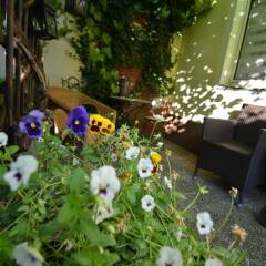 Отель Domizil Wien - Cityapartments