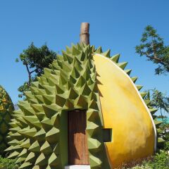 Отель Fruit House Бангламунг фото 9