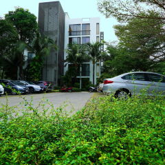 Отель Casuarina Shores