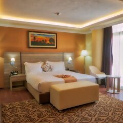 Holiday Hotel in Addis Ababa, Ethiopia from 147$, photos, reviews - zenhotels.com guestroom