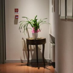 Отель Albergo San Raffaele Италия, Виченца - отзывы, цены и фото номеров - забронировать отель Albergo San Raffaele онлайн интерьер отеля фото 2