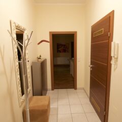 Отель Suite Deluxe Schönbrunn комната для гостей фото 2