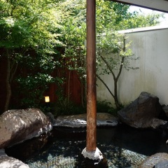 Отель Oyado Nurukawa Onsen Хидзи фото 2