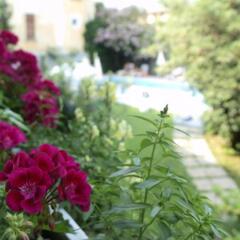 Hotel San Filis фото 7