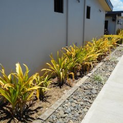 Nadi Airport Apartments in Viti Levu, Fiji from 108$, photos, reviews - zenhotels.com beach