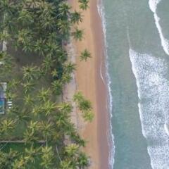 Отель The Villa by Contemporary Ceylon фото 3