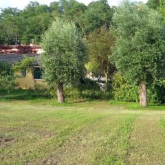 Отель Agriturismo Il Lago Италия, Лимена - отзывы, цены и фото номеров - забронировать отель Agriturismo Il Lago онлайн фото 2
