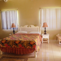 Island inn Apartments in Bequia, St. Vincent and the Grenadines from 140$, photos, reviews - zenhotels.com photo 2